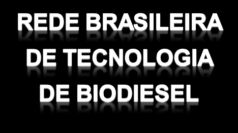 Ministério da Ciência e Tecnologia Secretaria de Desenvolvimento Tecnológico e Inovação Programa Nacional de Produção e Uso de Biodiesel Rede Brasileira de Tecnologia de Biodiesel Agricultura Domínio