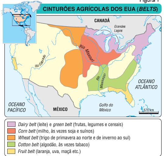 CINTURÕES AMERICANOS Dairy Belt (Leite) e Green Belt (Frutas, legumes e cereais) produzem leite, laticínios e produtos hortifrutigranjeiros. Localiza-se no nordeste e dos grandes lagos.
