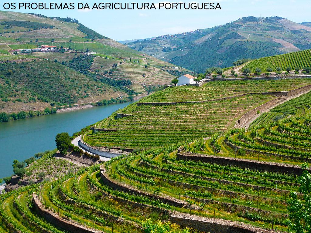 VARIAÇÃO DO NÚMERO DE EXPLORAÇÕES AGRÍCOLAS, SAU EM PORTUGAL E REGIÕES AGRÁRIAS, 1999-2009 A superfície agrícola