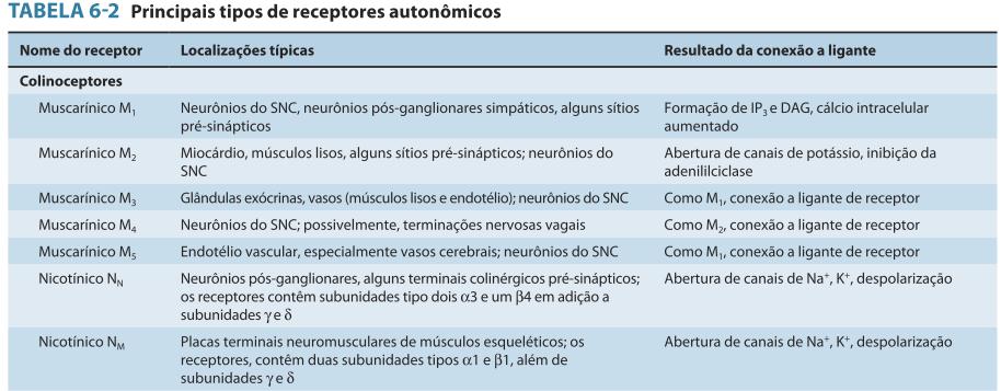 Receptores autonômicos Subtipos de
