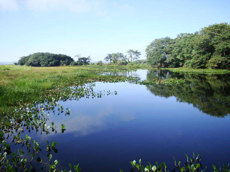 localizada no