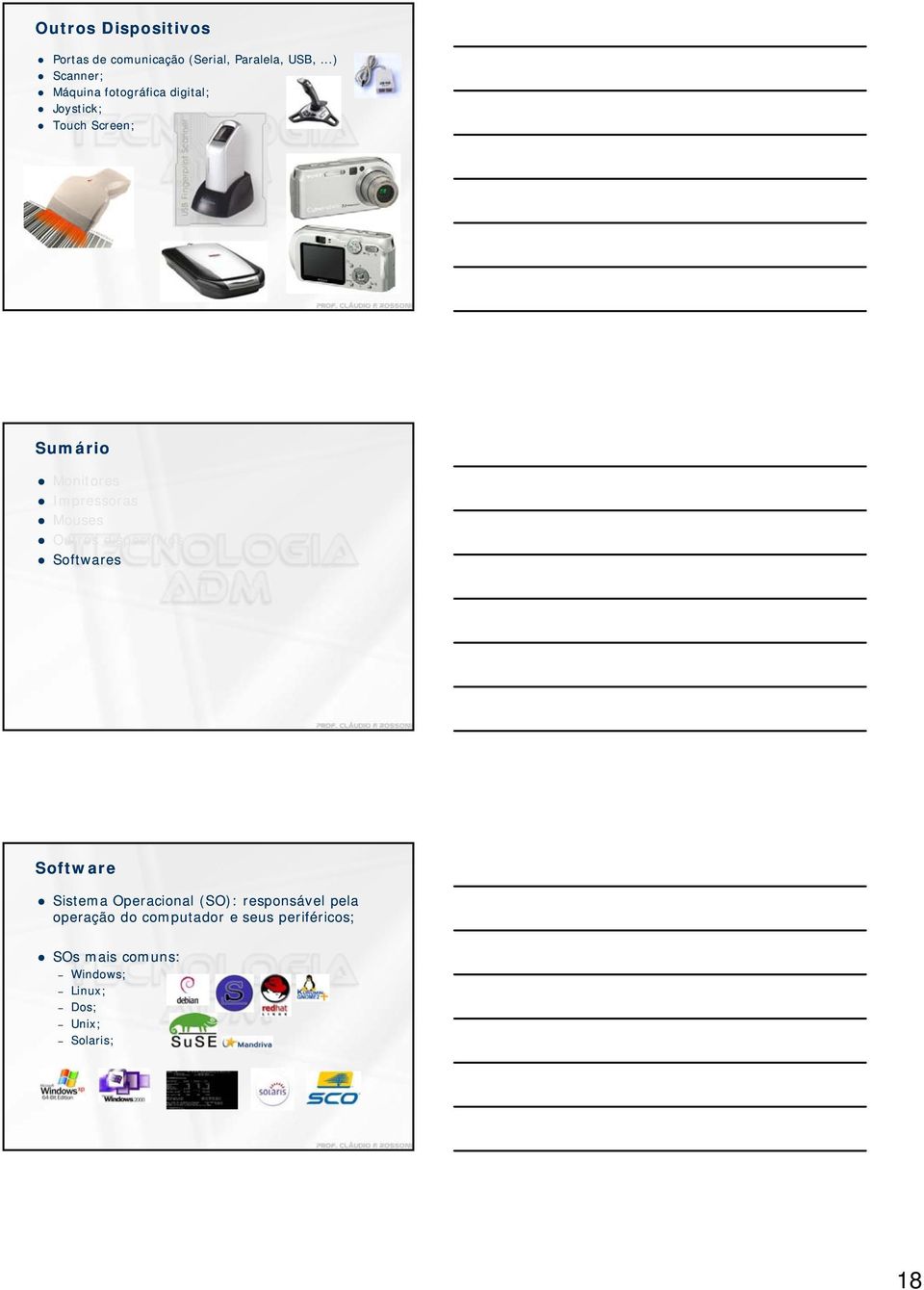 Impressoras Mouses Outros dispositivos Softwares Software Sistema Operacional (SO):