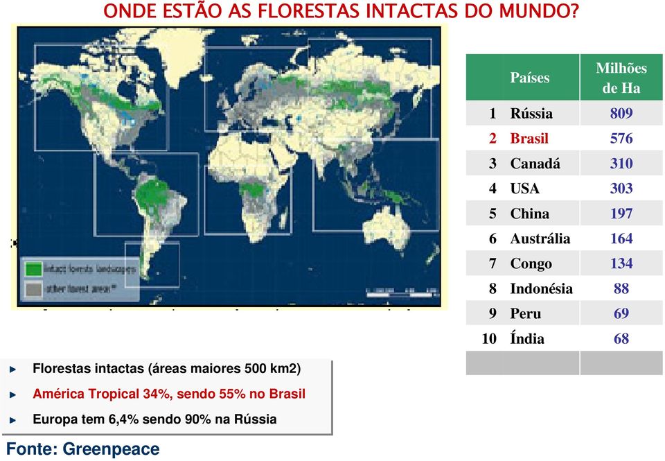 Indonésia Peru Índia Milhões de Ha 809 576 310 303 197 164 134 88 69 68 Florestas