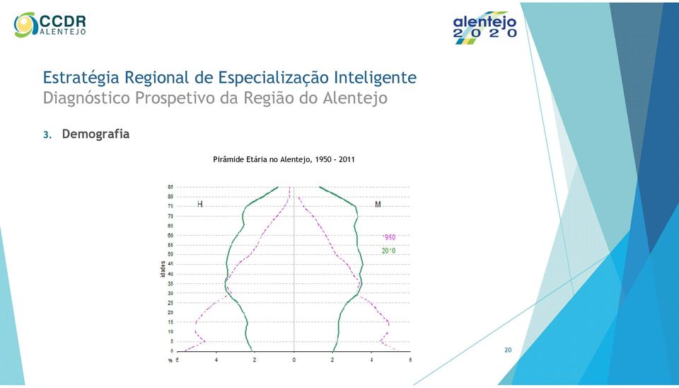 Demografia Pirâmide