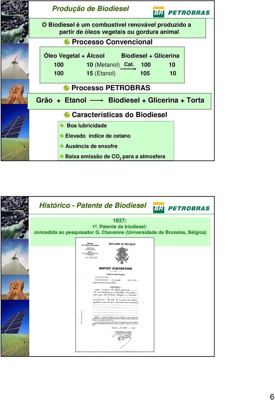 100 10 100 15 (Etanol) 105 10 Processo PETROBRAS Grão + Etanol Biodiesel + Glicerina + Torta Características do Biodiesel Boa lubricidade
