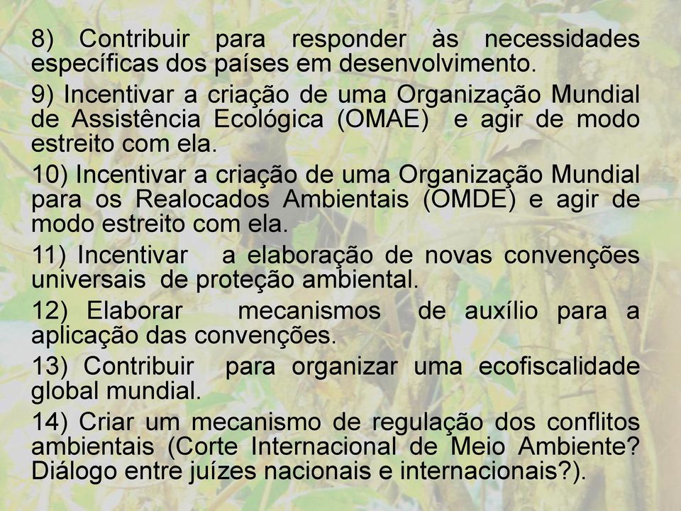 10) Incentivar a criação de uma Organização Mundial para os Realocados Ambientais (OMDE) e agir de modo estreito com ela.