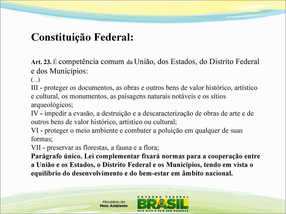 evasão, a destruição e a descaracterização de obras de arte e de outros bens de valor histórico, artístico ou cultural; VI - proteger o meio ambiente e combater a poluição em qualquer de