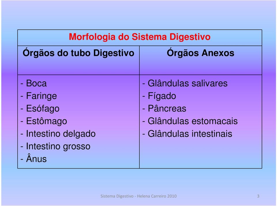 Intestino delgado - Intestino grosso - Ânus - Glândulas