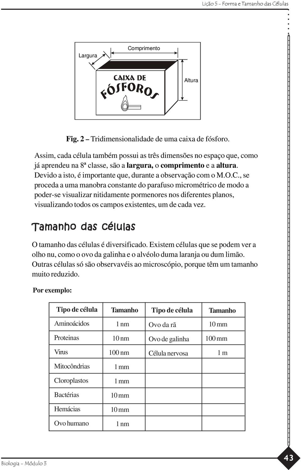 , se proceda a uma manobra constante do parafuso micrométrico de modo a poder-se visualizar nitidamente pormenores nos diferentes planos, visualizando todos os campos existentes, um de cada vez.