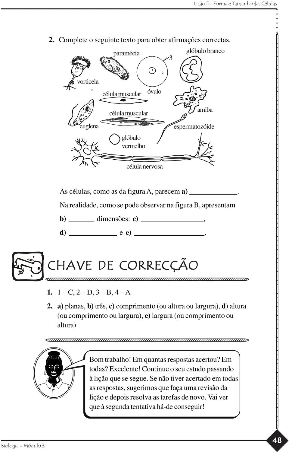 CHAVE DE CORRECÇÃO 34567890345678903456789034567890345678903456789034567890345678903456789034567890 34567890345678903456789034567890345678903456789034567890345678903456789034567890