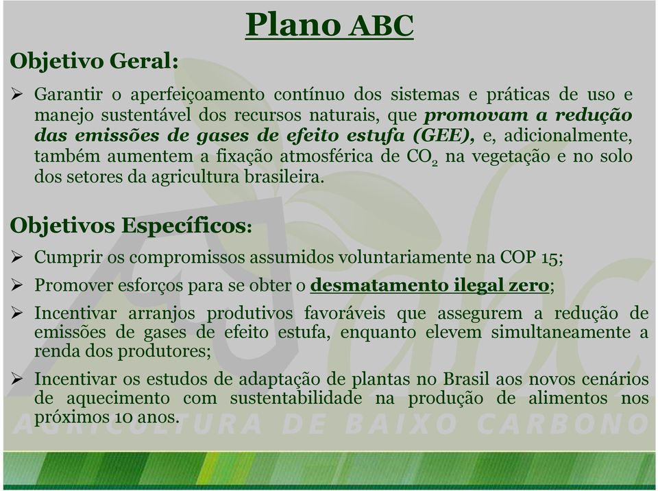 Objetivos Específicos: Cumprir os compromissos assumidos voluntariamente na COP 15; Promover esforços para se obter o desmatamento ilegal zero; Incentivar arranjos produtivos favoráveis que