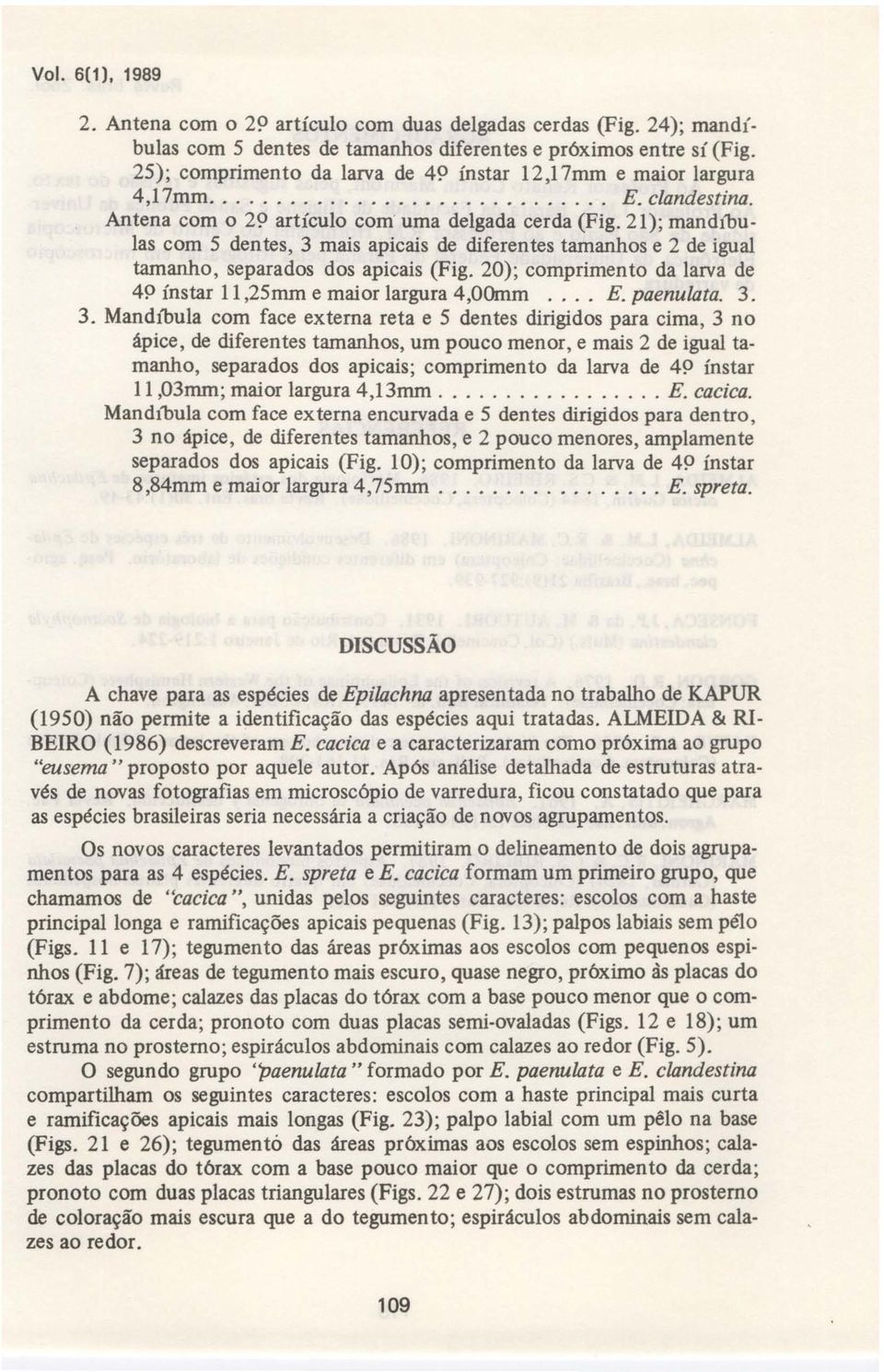 21); mandt'bulas com 5 dentes, 3 mais apicais de diferentes tamanhos e 2 de igual tamanho, separados dos apicais (Fig. 20); comprimento da larva de 49 ínstar 11,25mm e maior largura 4,OOmm... E.