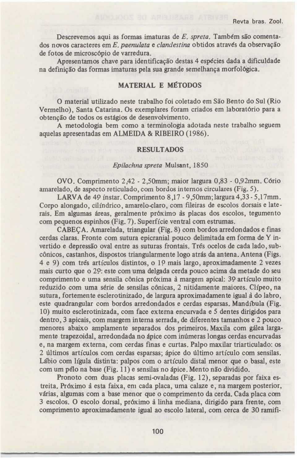 Apresentamos chave para identificação destas 4 espécies dada a dificuldade na definição das formas imaturas pela sua grande semelhança morfológica.