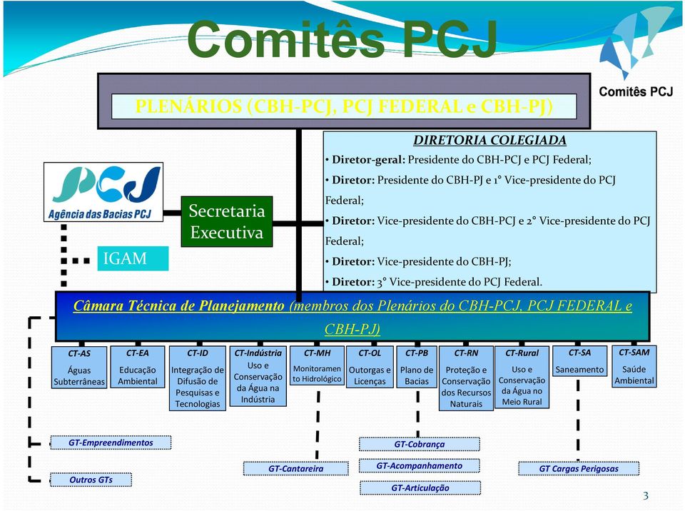 Câmara Técnica de Planejamento (membros dos Plenários do CBH-PCJ, PCJ FEDERAL e CBH-PJ) CT-AS Águas Subterrâneas CT-EA Educação Ambiental CT-ID Integração de Difusão de Pesquisas e Tecnologias