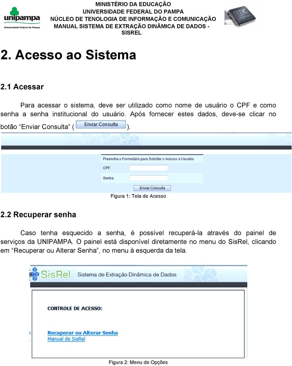 Após fornecer estes dados, deve-se clicar no botão Enviar Consulta ( ). Figura 1: Tela de Acesso 2.