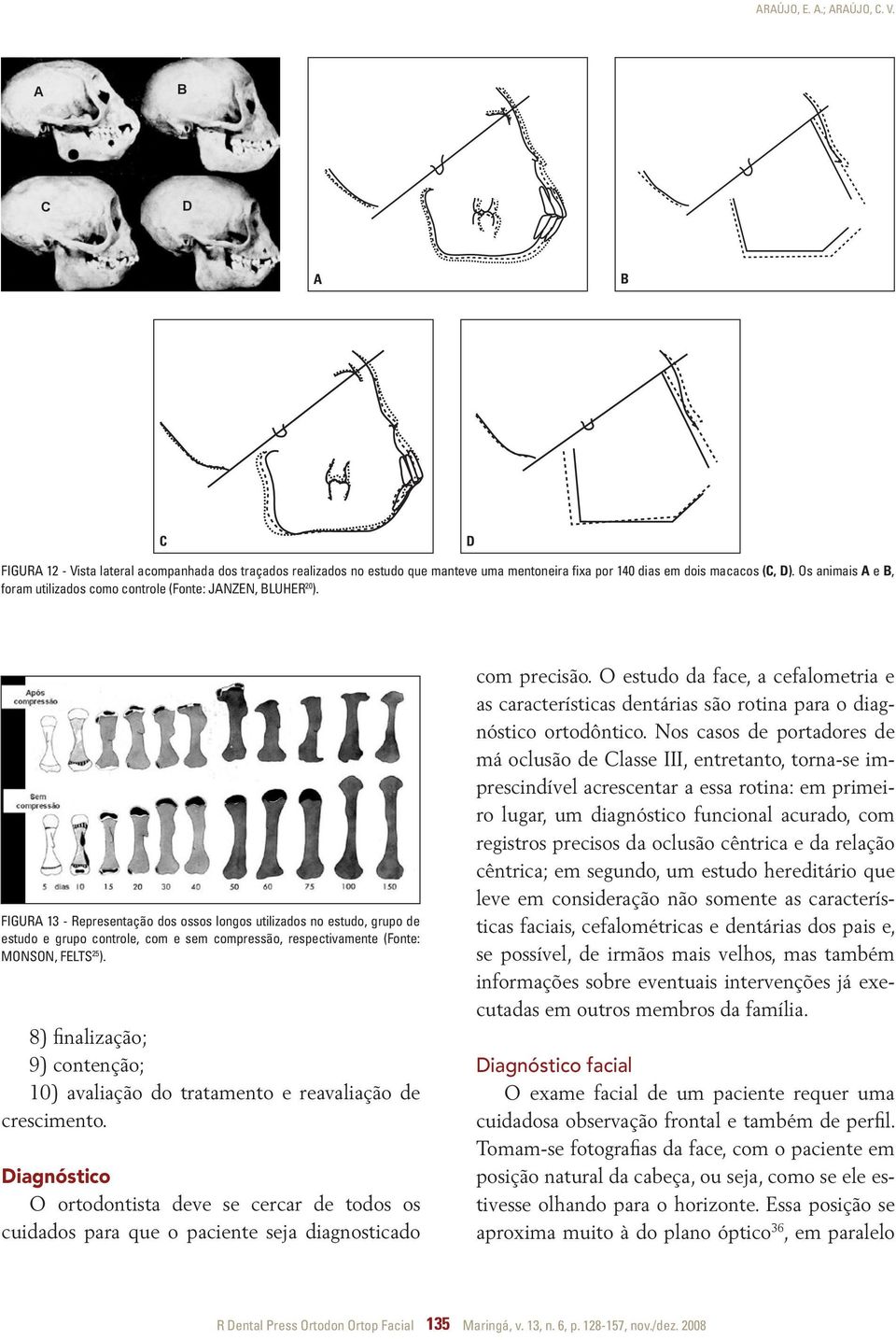 FIGURA 13 - Representação dos ossos longos utilizados no estudo, grupo de estudo e grupo controle, com e sem compressão, respectivamente (Fonte: Monson, Felts 25 ).