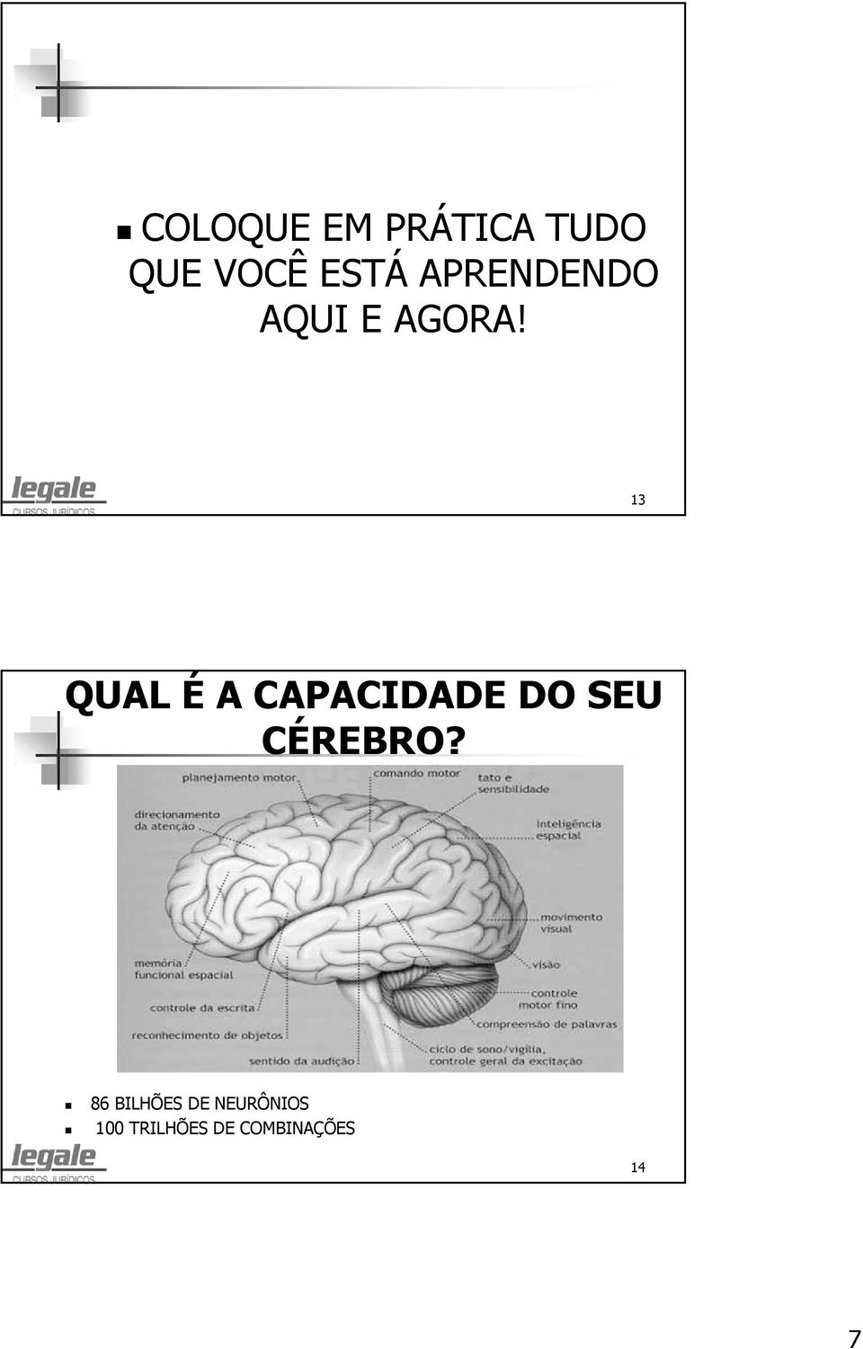 13 QUAL É A CAPACIDADE DO SEU CÉREBRO?