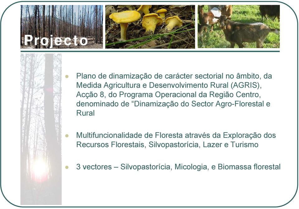 Dinamização do Sector Agro-Florestal e Rural Multifuncionalidade de Floresta através da Exploração