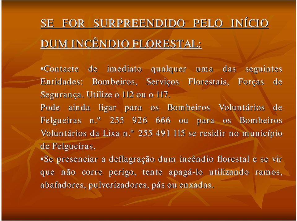 º 255 926 666 ou para os Bombeiros Voluntários da Lixa n.º 255 491 115 se residir no município de Felgueiras.