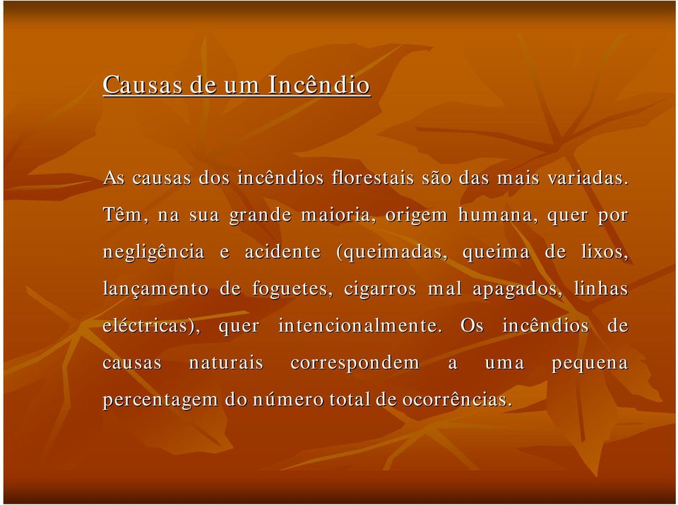 lixos, lançamento amento de foguetes, cigarros mal apagados, linhas eléctricas), quer