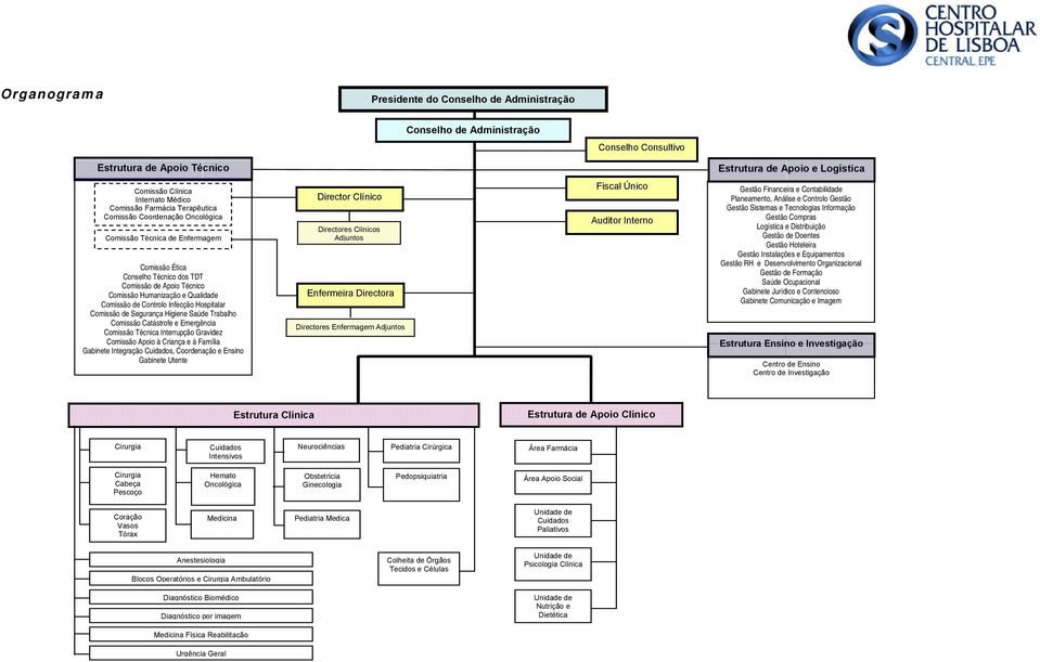 Controlo Infecção Hospitalar Comissão de Segurança Higiene Saúde Trabalho Comissão Catástrofe e Emergência Comissão Técnica Interrupção Gravidez Comissão Apoio à Criança e à Família Gabinete