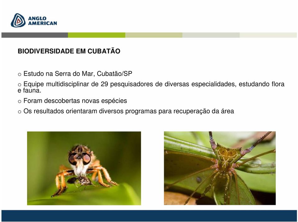 especialidades, estudand flra e fauna.