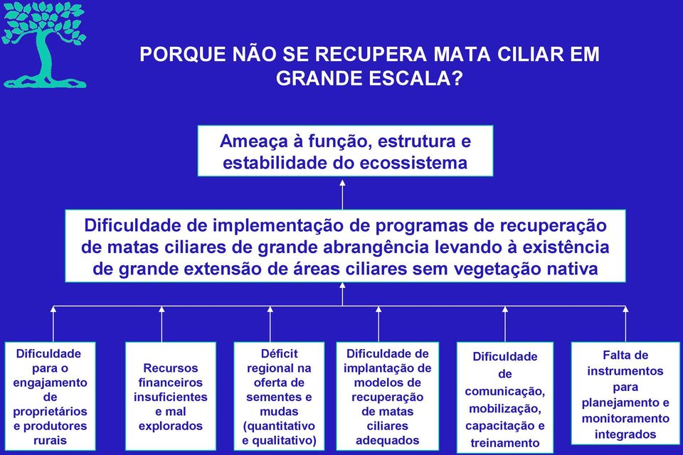 existência de grande extensão de áreas ciliares sem vegetação nativa Dificuldade para o engajamento de proprietários e produtores rurais Recursos financeiros insuficientes e