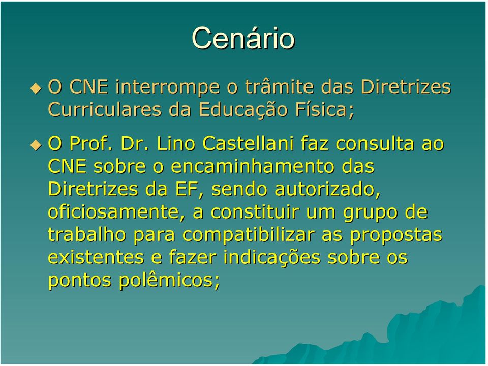 Lino Castellani faz consulta ao CNE sobre o encaminhamento das Diretrizes da EF,