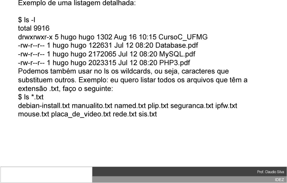 pdf Podemos também usar no ls os wildcards, ou seja, caracteres que substituem outros.