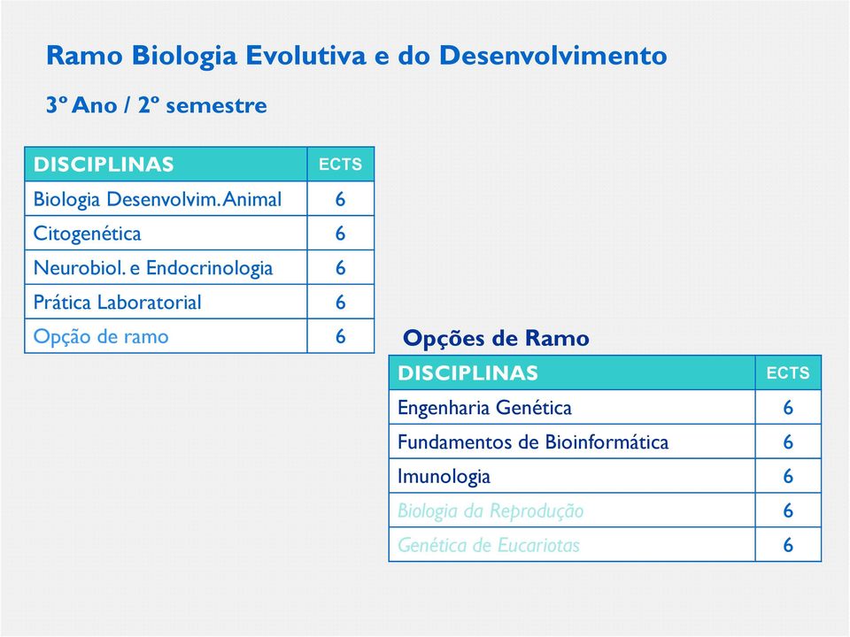 e Endocrinologia 6 Prática Laboratorial 6 Opção de ramo 6 Opções de Ramo