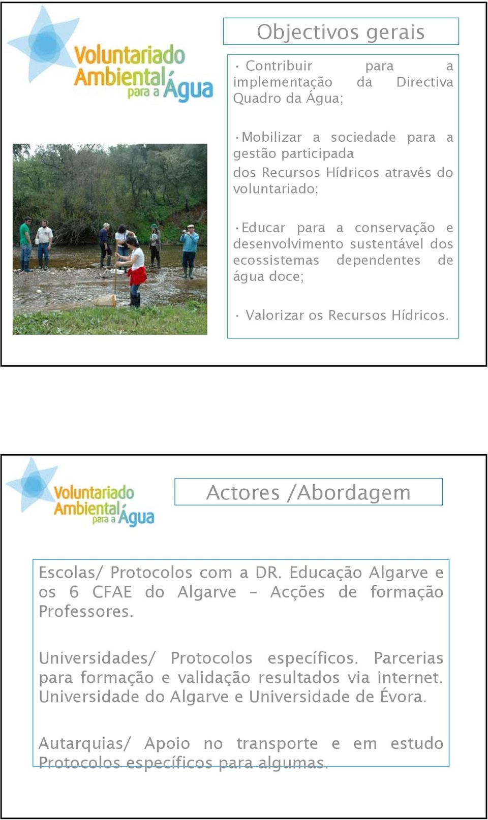 Actores /Abordagem Escolas/ Protocolos com a DR. Educação Algarve e os 6 CFAE do Algarve Acções de formação Professores. Universidades/ Protocolos específicos.