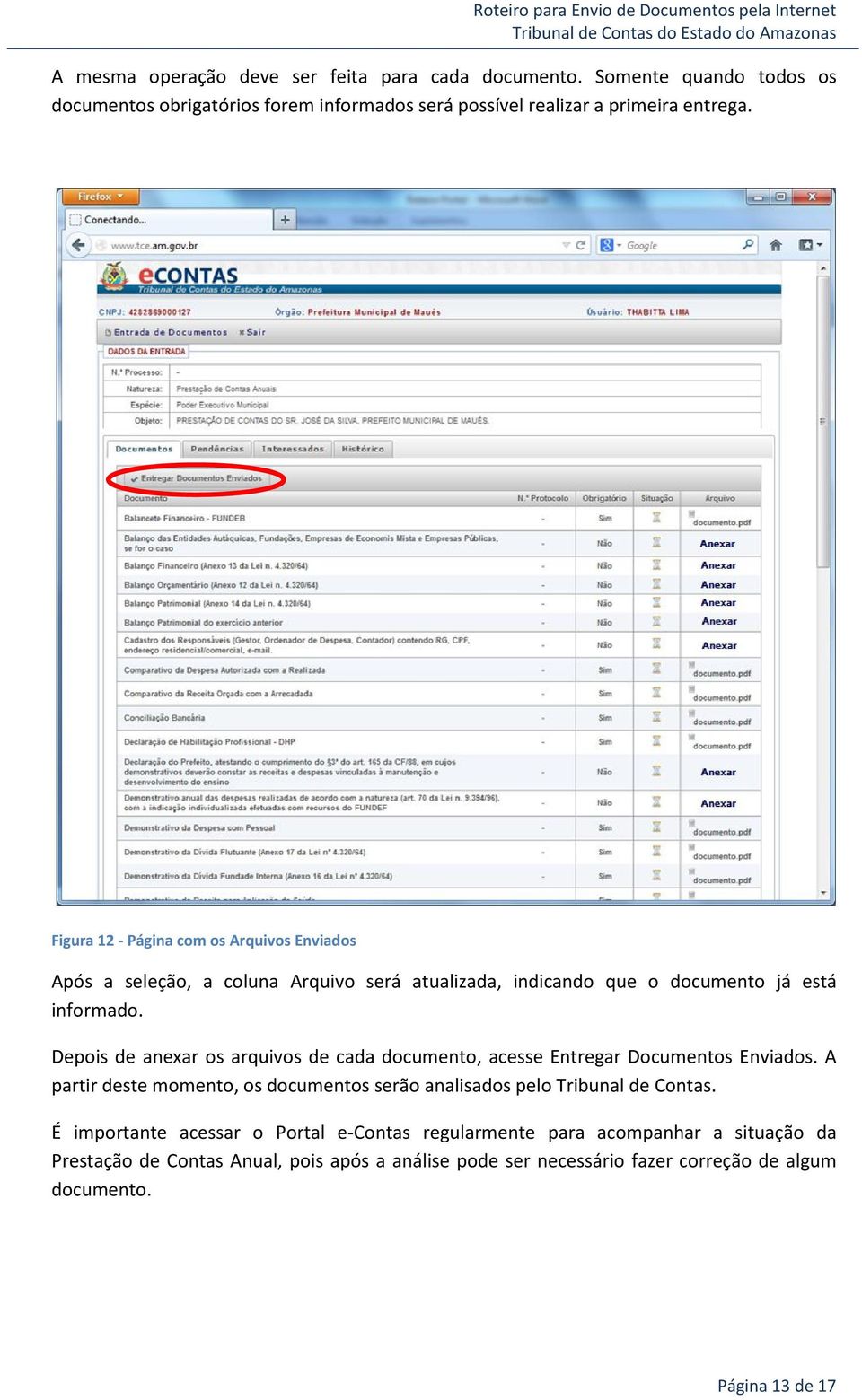 Depois de anexar os arquivos de cada documento, acesse Entregar Documentos Enviados. A partir deste momento, os documentos serão analisados pelo Tribunal de Contas.