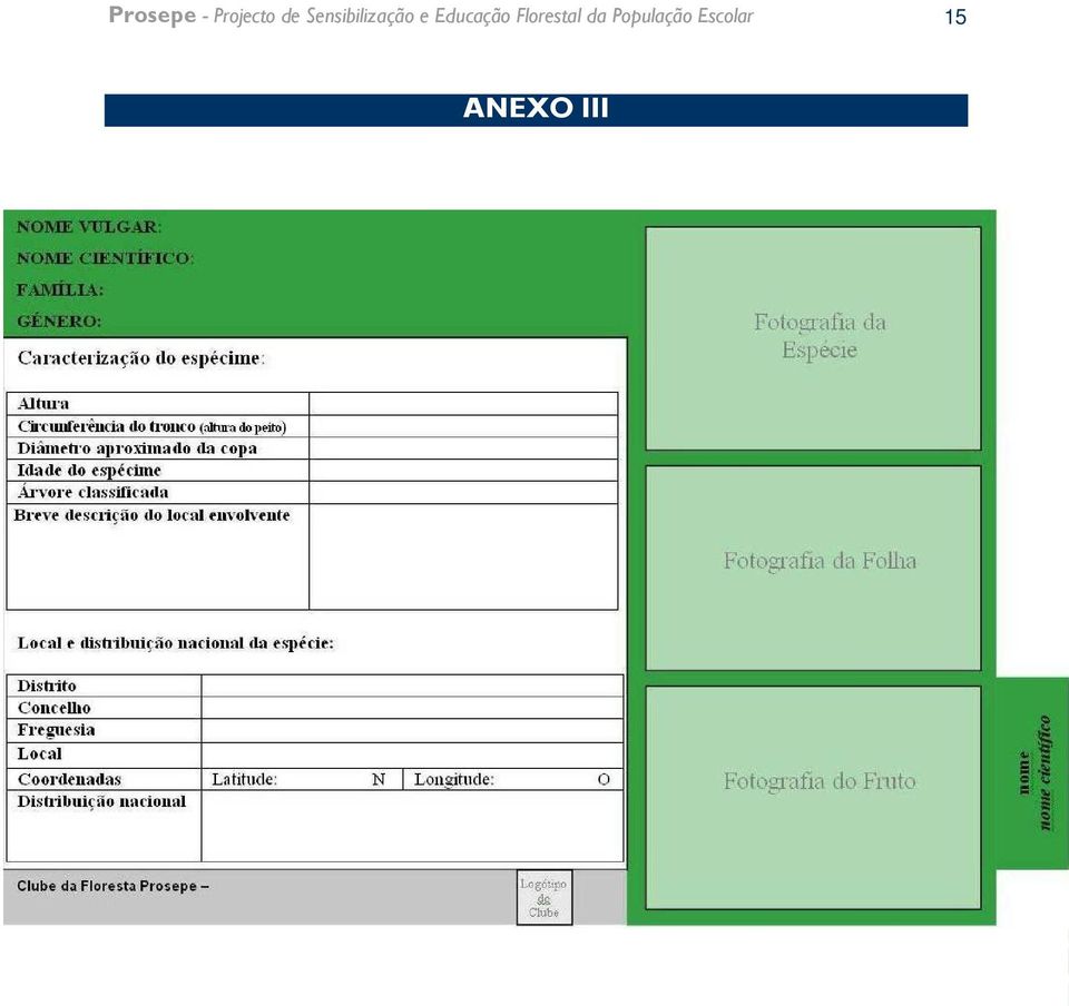 Educação Florestal da