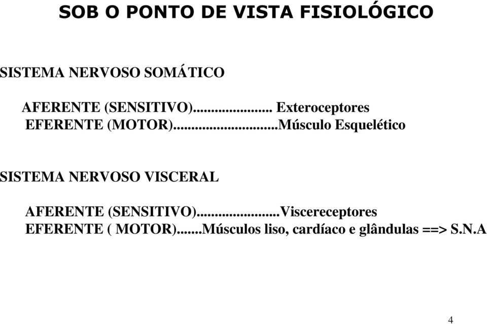 ..Músculo Esquelético SISTEMA NERVOSO VISCERAL AFERENTE (SENSITIVO).