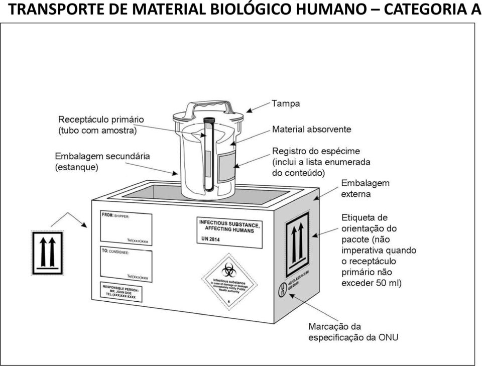 BIOLÓGICO