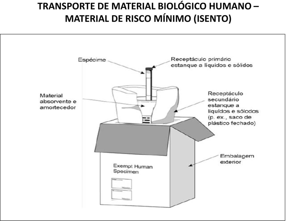 HUMANO MATERIAL DE