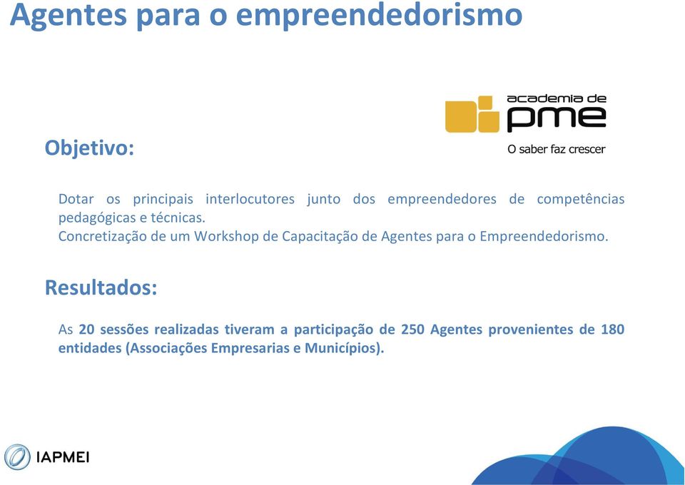 Concretização de um Workshop de Capacitação de Agentes para o Empreendedorismo.