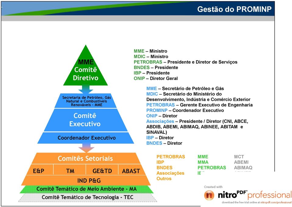 (CNI, ABCE, ABDIB, ABEMI, ABIMAQ, ABINEE, ABITAM e SINAVAL) IBP Diretor BNDES Diretor Secretaria de Petróleo, Gás Natural e Combustíveis Renováveis - MME Comitê Executivo Coordenador Executivo