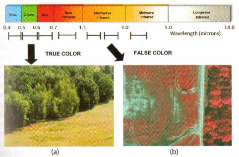 Espectro Eletromagnético Imagem multiespectral: (a) imagem colorida