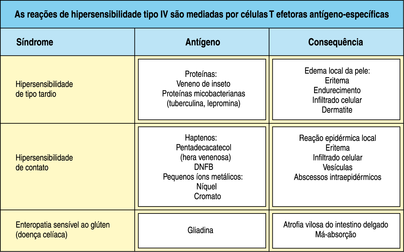 Respostas de