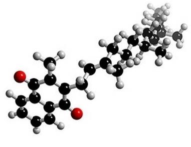 BIOMOLÉCULAS Celulose