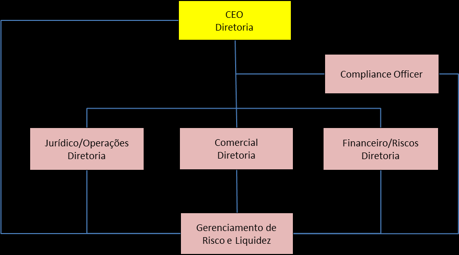 2 - Estrutura de Gerenciamento do Risco Operacional A Diretoria do Grupo Didier Levy aprovou a seguinte estrutura de gestão do risco de mercado.