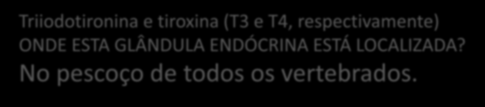 Glândula tireoide Produz, armazena e libera dois hormônios tireoidianos que regulam: A taxa metabólica; A metamorfose; O crescimento e a reprodução.