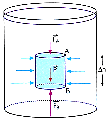 - Relação entre as pressões de dois pontos, ao mesmo nível, cada um pertencente a seu líquido.