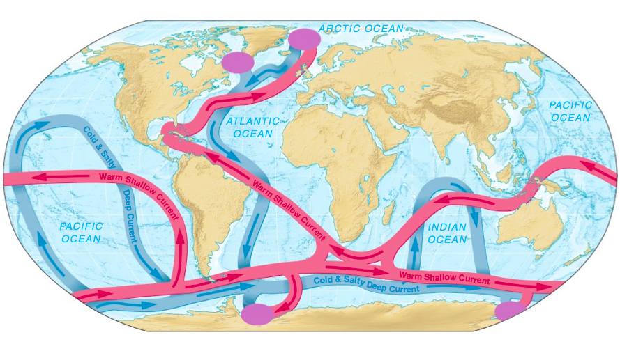 grandes formadoras de massas d água 5 do oceanos, uma vez que o resfriamento, bem como a formação de gelo e conseqüente liberação de sais, tornam as águas superficiais mais densas.