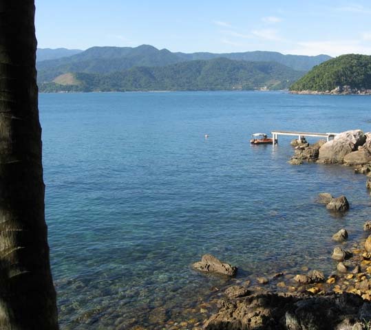 ILHA COUVES DO SUL ATRACADOURO Face Norte TRILHA QUE CIRCUNDA A ILHA RÃ Leptodatylus cf.