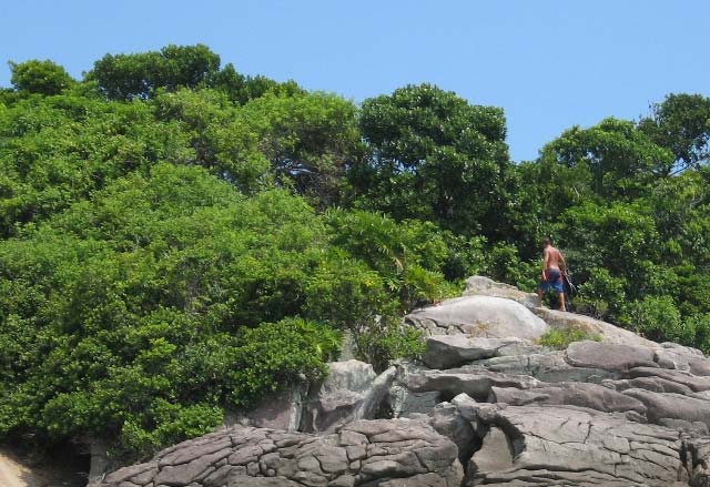 ILHA DO MARACUJÁ Com 0,5 ha de área, é a ilha mais ao sul de São Sebastião e pode ser avistada das areias da praia da Juréia do Norte, distando 350 metros do continente; Não há sinais de visitação