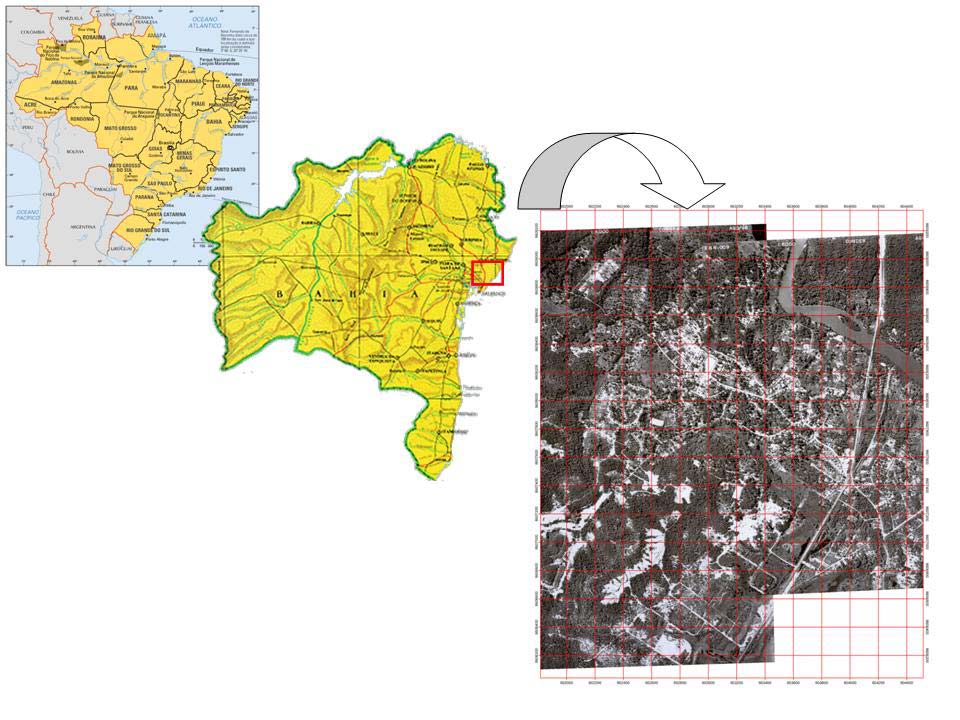 44 A localização dos quadrantes foi feita através do sistema de posicionamento global GPS (Garmim 12 canais GPS45). Figura 1.