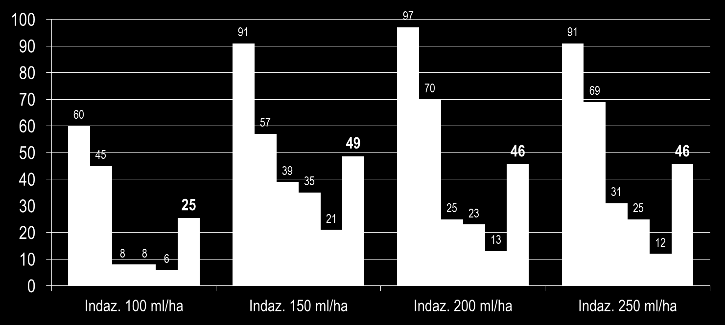 Corda de Viola (Ipomoea grandifolia) (Test c/ 4%, 5%, 4%, 5% e 6% cobertura) % de controle