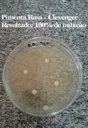 Gráfico 4 Inibição do fungo C. albicans Figura 4 Placa de Petri da Pimenta Rosa com o fungo C. albicans 4.